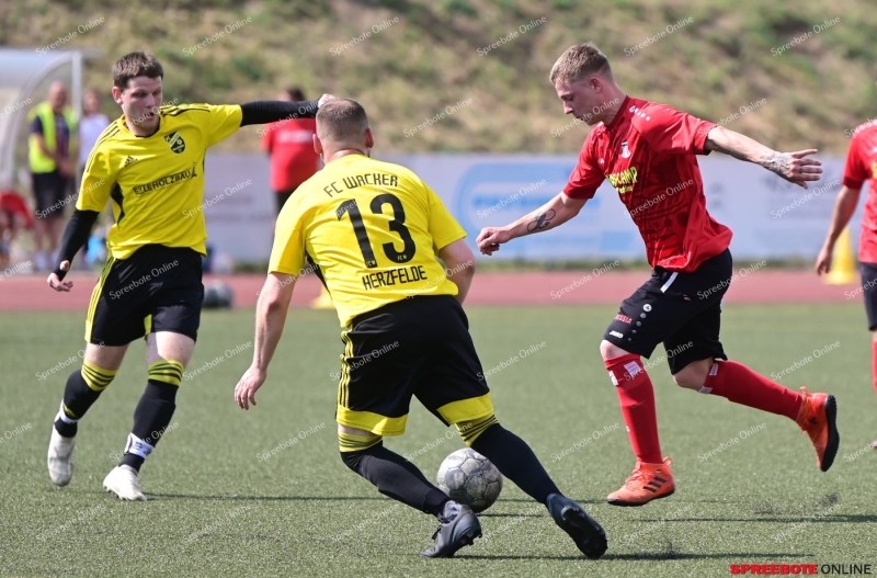 Borussia-FC-Wacker-Herzfelde-011