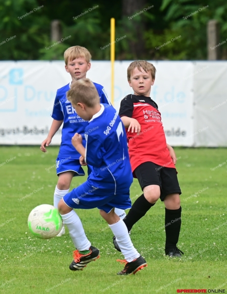 Briesen-2.Sommerturnier-005