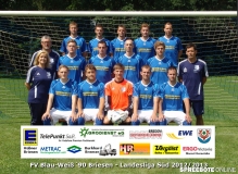 1-Mannschaft-mit-Werbebande2013