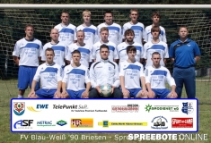 2-Team-mit-Werbebande2012JPG