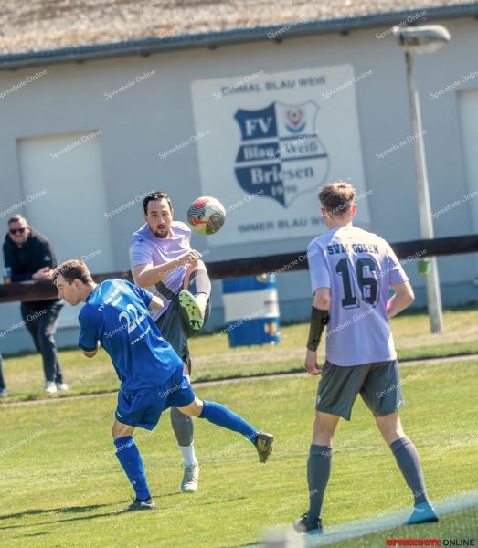 Spreebote-Briesen-II-unterliegt-deutlich_gallery1_15