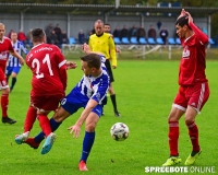 spreebote-Briesen-Trebbin-705