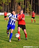 Briesen-Dynamo-EHS-15