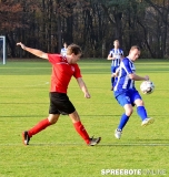 Briesen-Dynamo-EHS-7