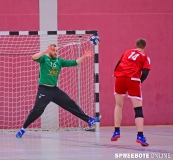 spreebote-Pneumi-Handball-Friedland-127-2