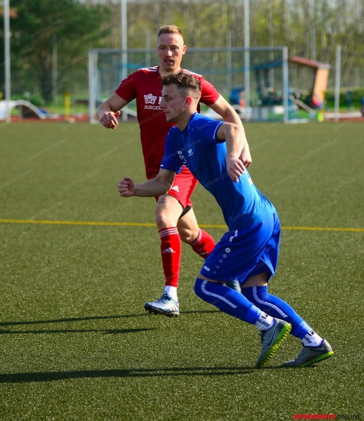 BSG-Mullroser-SV-003