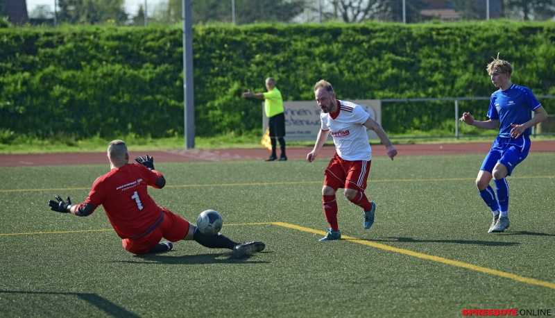 BSG-Pneumant-Mullroser-SV-009