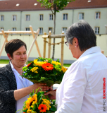 Kita-Buratino-AWO-040