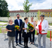 Kita-Buratino-AWO-051