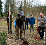 spreebote-CDU-Baumpflanz-Stechpalme-04