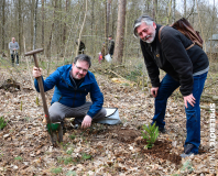 spreebote-CDU-Baumpflanz-Stechpalme-87