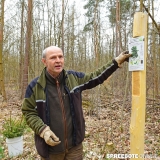 CDU-Baumpflanzen-016