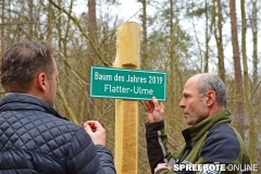 CDU-Baumpflanzen-048