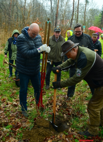 CDU-Baumpflanz-Moorbirje-2-001