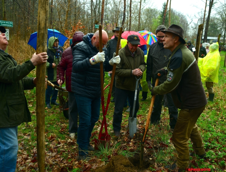 CDU-Baumpflanz-Moorbirje-2-002