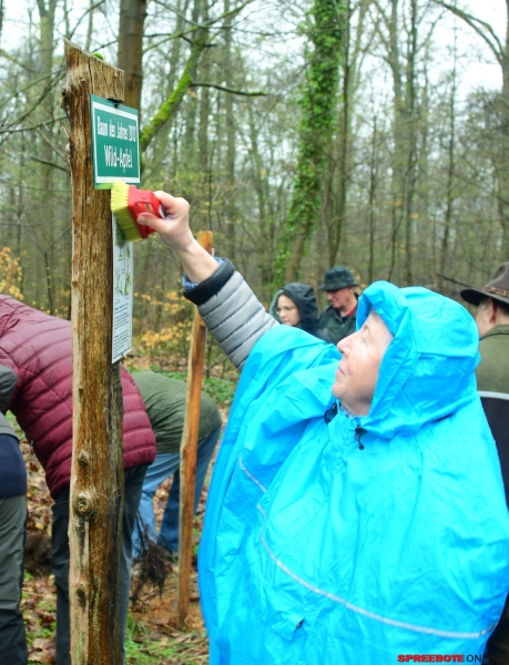 CDU-Baumpflanz-Moorbirje-2-003