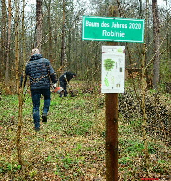 CDU-Baumpflanz-Moorbirje-2-005