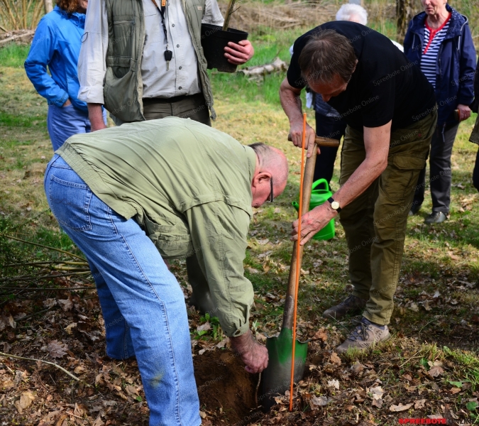 CDU-Baumpflanzung-004