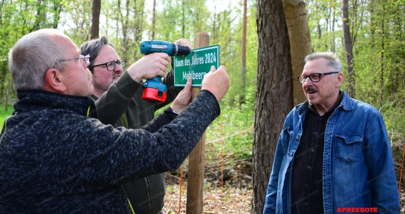 CDU-Baumpflanzung-006