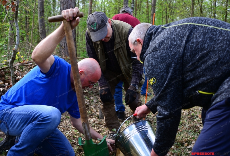 CDU-Baumpflanzung-009