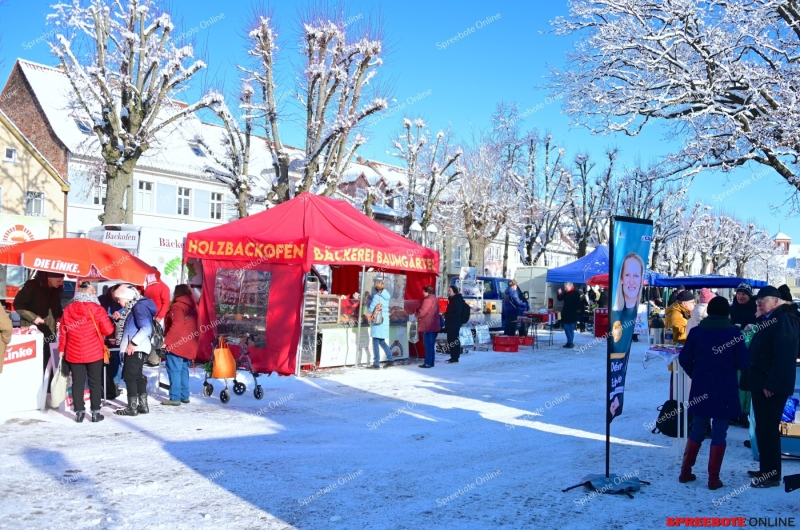 CDU-Schrade-SPD-Linke-Storkow-001