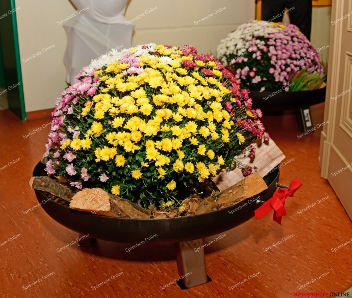 Spreebote-30-20-Jahre-Rahn-055