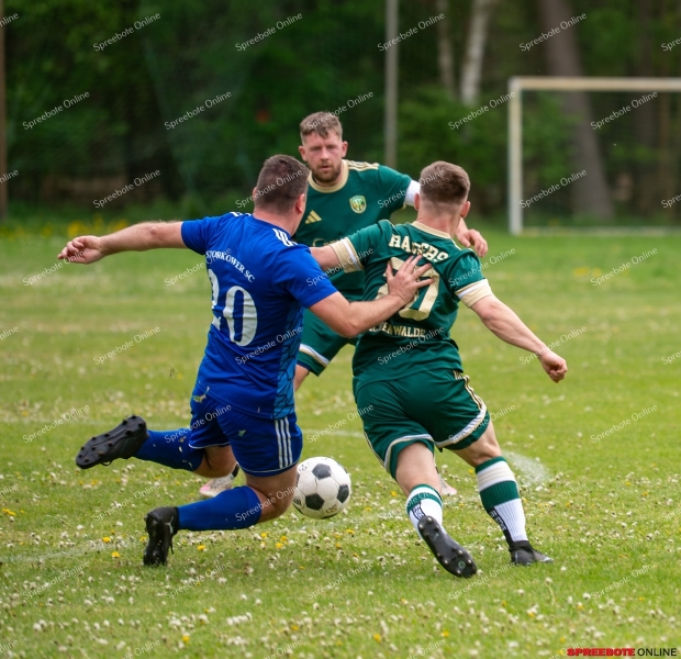 Spreebote-Derbysieg-fur-Reichenwalde_gallery1_15