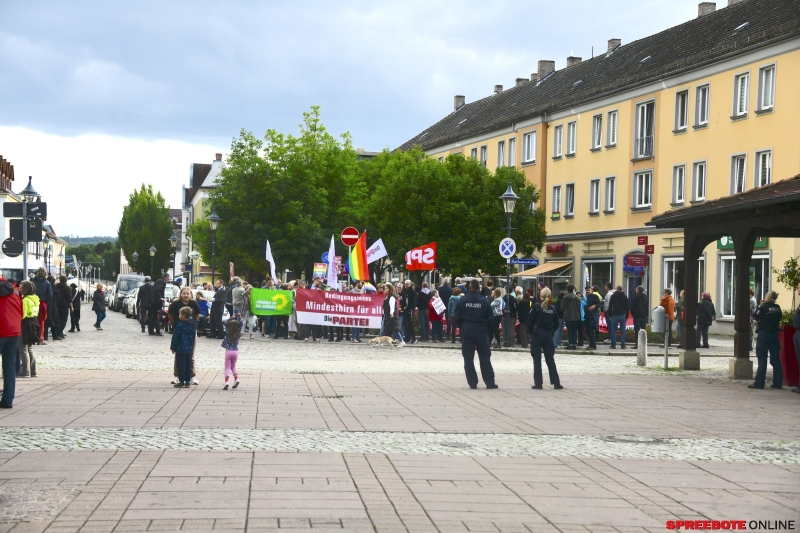 Die-Partei-Mindesthirn-Protest-AfD-002