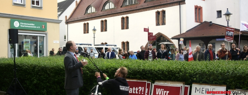 Die-Partei-Mindesthirn-Protest-AfD-007
