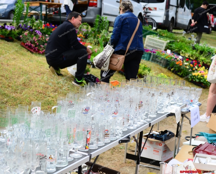 Diensdorf-Oldtimer-Trodel-002