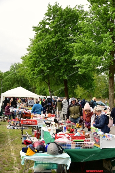DiensdorfRadlow-Oldtimer-Trodelmarkt-004