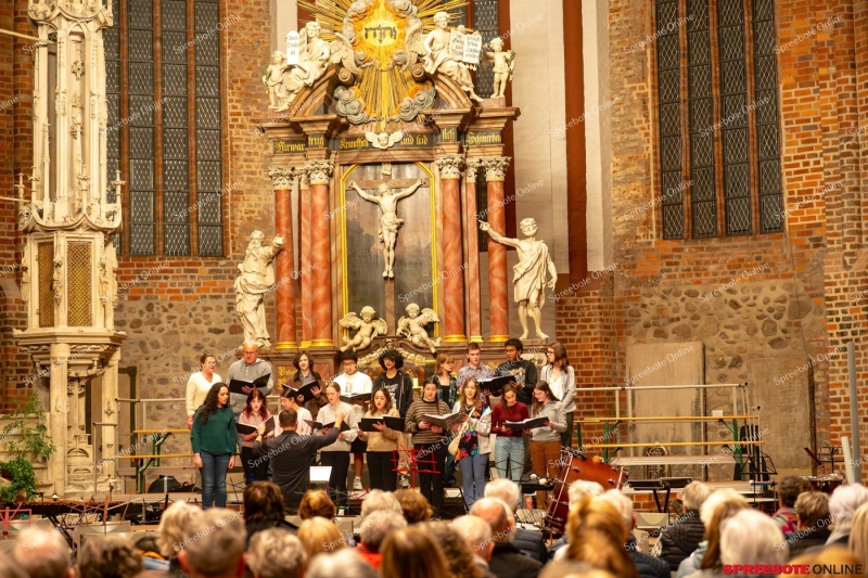 Spreebote-Dom-Ohio-Konzert-018