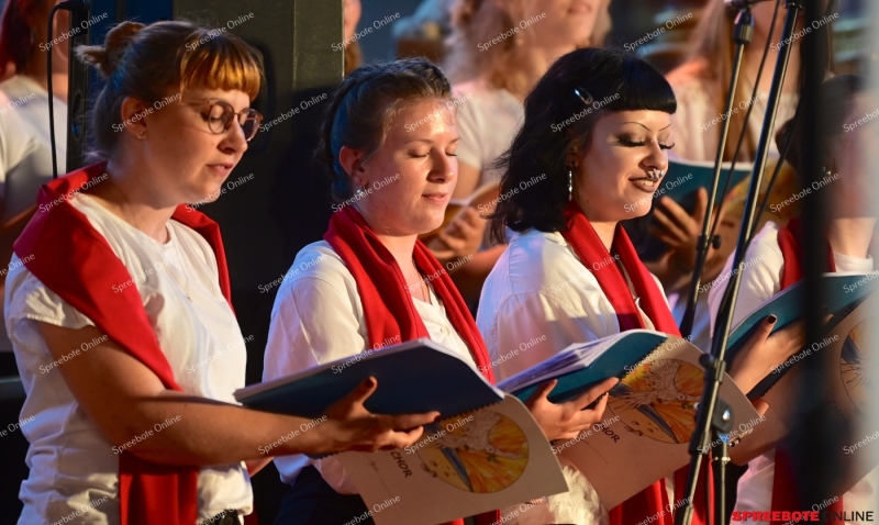 Dom-Oratorium-Berhardinum-Kath-Schule-018