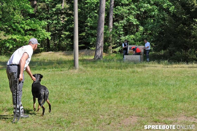 DRK-Hundestaffel-2