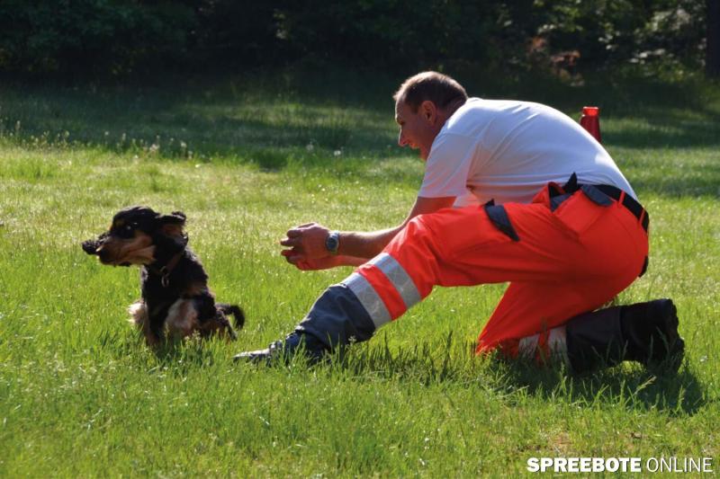 DRK-Hundestaffel-4