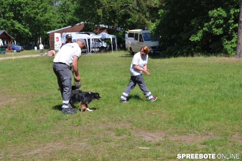 DRK-Hundestaffel-5