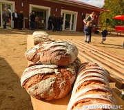 spreebote-Einweihung-und-uebergabe-Neu-Moenchwinkel-12