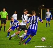 spreebote-Erkner_Briesen-179