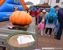 spreebote-Erntefest-und-Buergerbudget-055