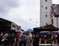 spreebote-Erntefest-und-Buergerbudget-076