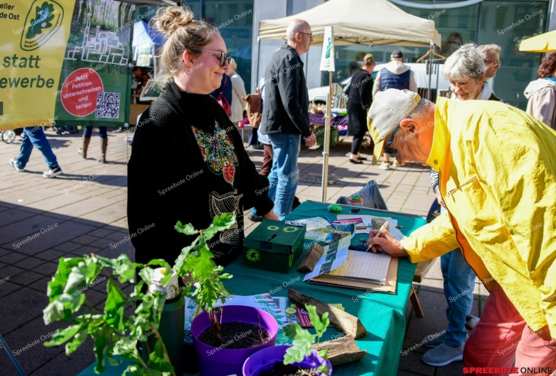 Spreebote-Erntefest-Burgerbudge-028