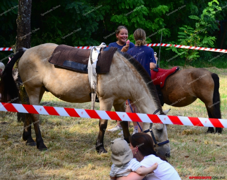 Familien-Waldfest-019