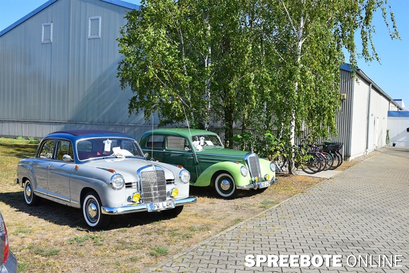 FDP-Sommerfest-4
