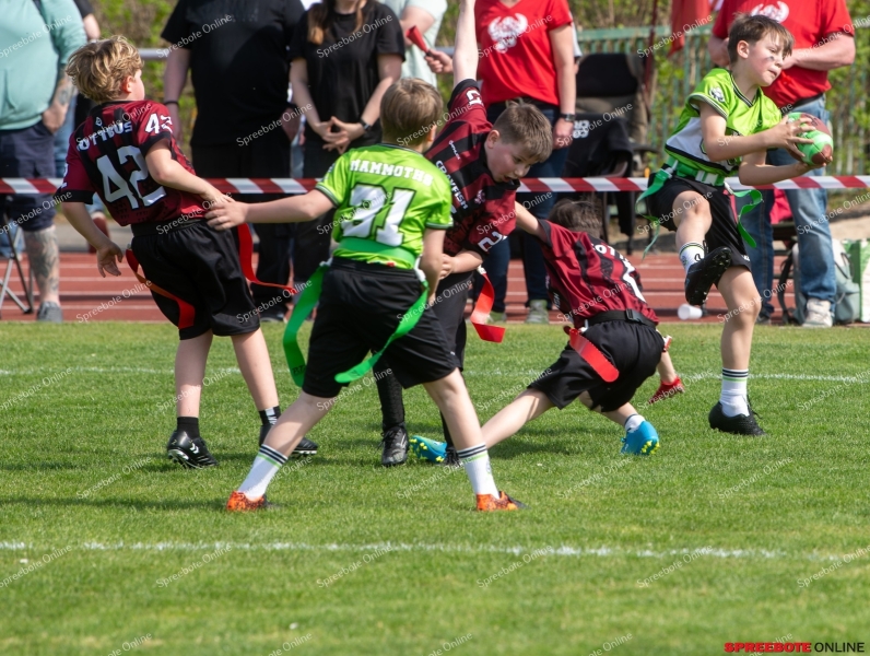 Spreebote-Flag-Football-boomt_gallery1_05