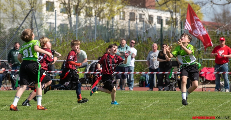 Spreebote-Flag-Football-boomt_gallery1_17