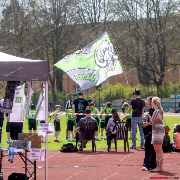 Spreebote-Flag-Football-boomt_gallery1_22