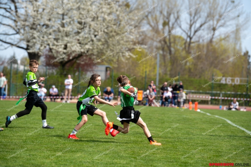 Spreebote-Flag-Football-boomt_gallery1_29