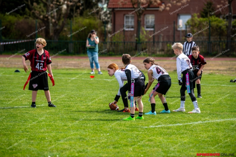 Spreebote-Flag-Football-boomt_gallery1_31