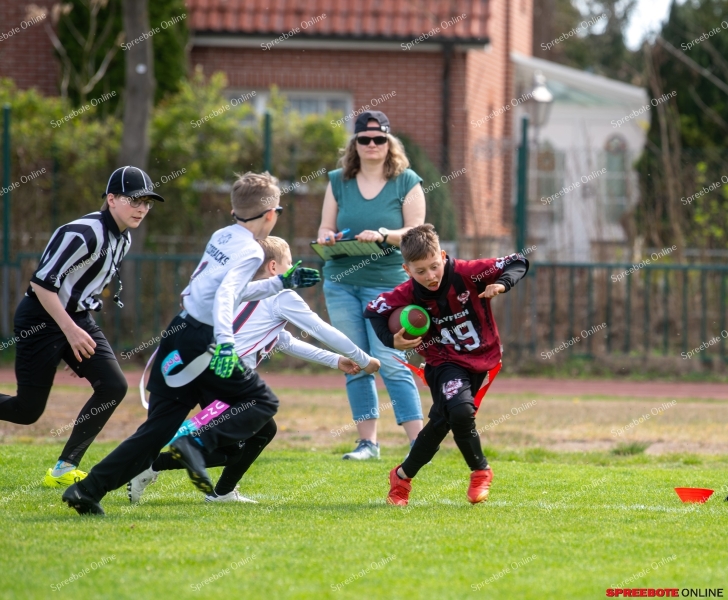 Spreebote-Flag-Football-boomt_gallery1_34