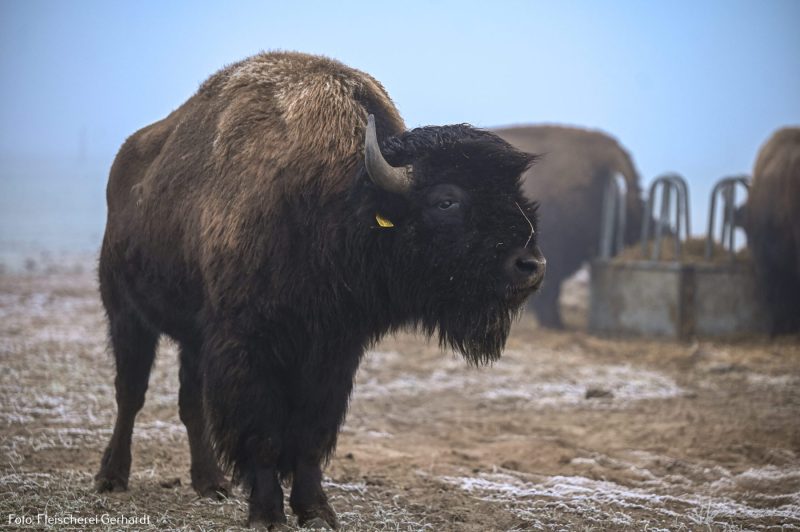 90-Jahre-Fleischerei-Gerhardt-19-scaled